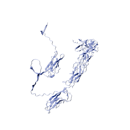 Human CDH1 (C-6His, HEK293)(Gln23-Phe647)